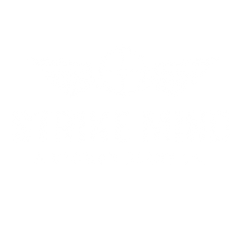 Strike Mind